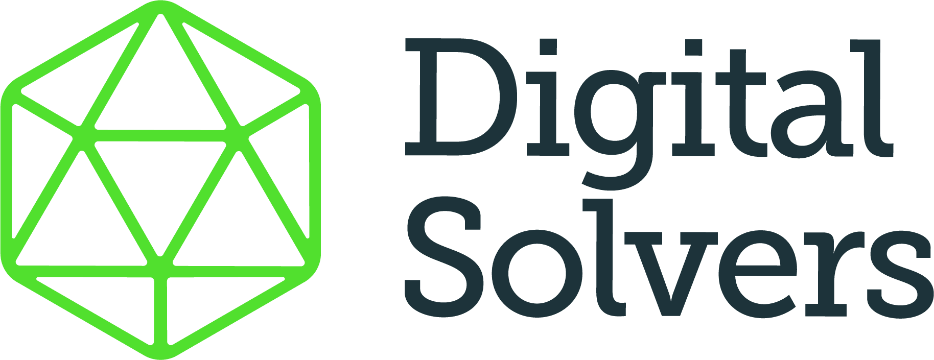 Logo Digital Solvers